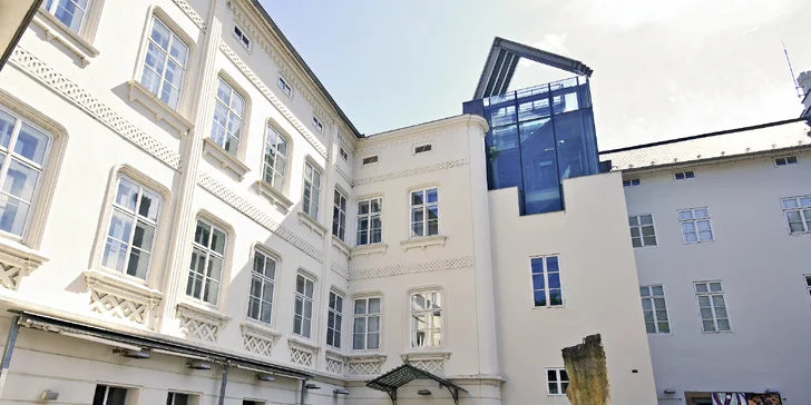 Vstupenky do Musea Kampa: stálá expozice i aktuální výstava Alfons Mucha a Pasta Oner