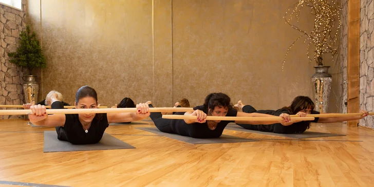 1, 3 nebo 5 vstupů na lekce: bosu, fit and strech, kondice pro zdravá záda