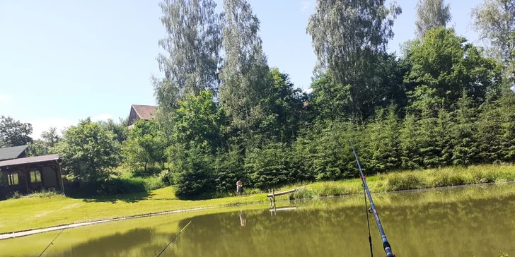 Ulovte si vánočního kapra: 1- či 2denní povolenka, výlov i zapůjčení vybavení