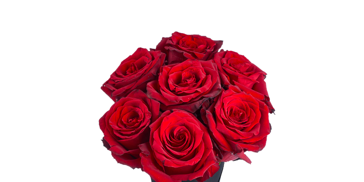 Potěšte svou milou kornoutem 7 růží: výběr ze 4 barev i rozvoz po Praze