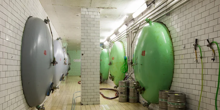 Exkurze do Pivovaru Nová Paka s výkladem a ochutnávkou: 1, 2 i 10 osob