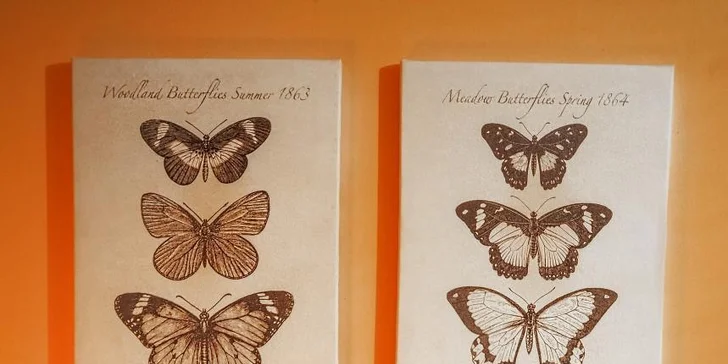 Klasická nebo relaxační vonná masáž v délce 30 až 60 minut