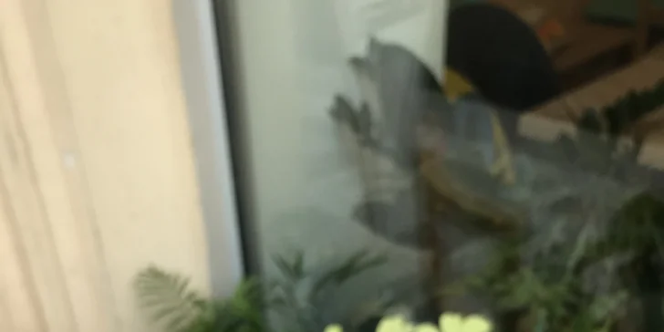 Káva a dortík podle výběru v rodinné kavárničce na Andělu