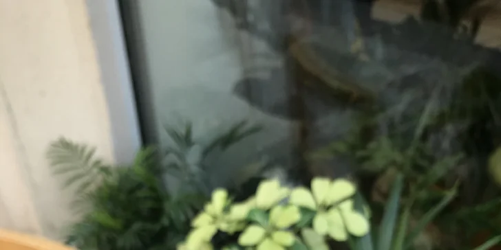 Káva a dortík podle výběru v rodinné kavárničce na Andělu