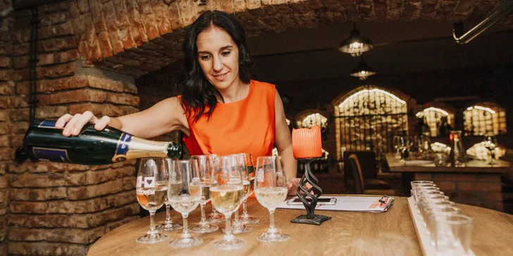 90min. řízená degustace moravských vín: 8 vzorků, občerstvení i sleva na víno