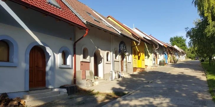 Cyklovýlety s průvodcem: Lednicko-valtický areál, Pálava, Modré hory či Dolní Rakousko