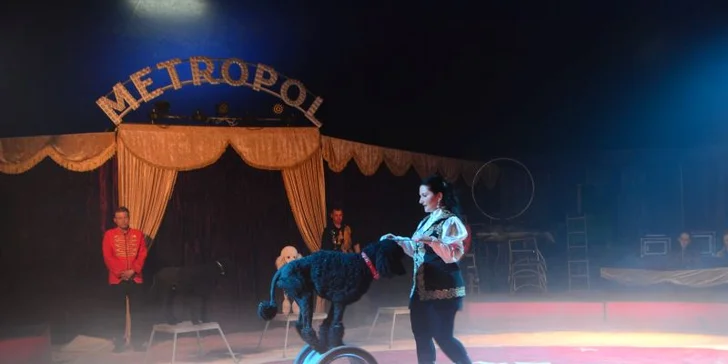 Cirkus Metropol v Olomouci: vstup do lóže na 120min. představení s artisty, klaunem i exotickými zvířaty