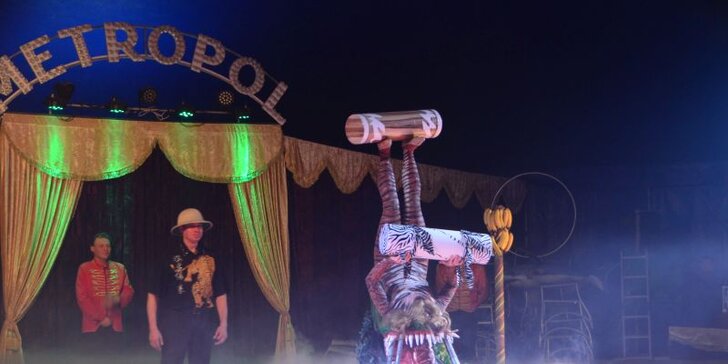 Cirkus Metropol ve V. Meziříčí : vstup do lóže na 120min. představení s artisty, klaunem i exotickými zvířaty