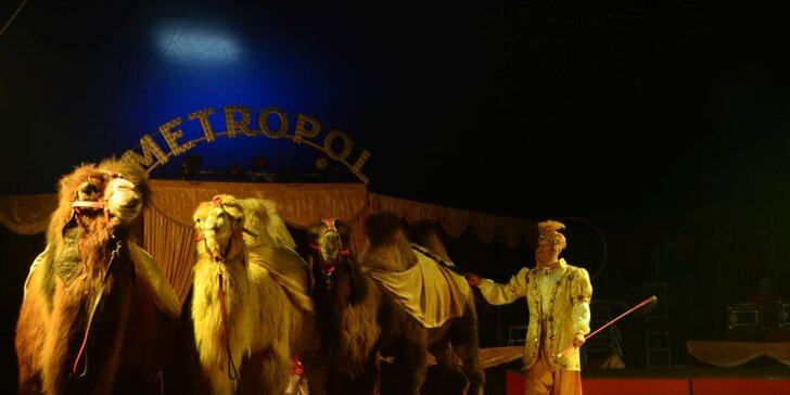 Cirkus Metropol ve Zlíně: vstup do lóže na 120min. představení s artisty, klaunem i exotickými zvířaty