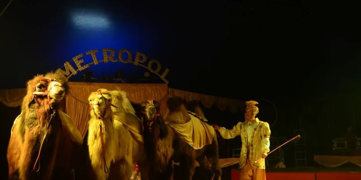 Cirkus Metropol v Olomouci: vstup do lóže na 120min. představení s artisty, klaunem i exotickými zvířaty