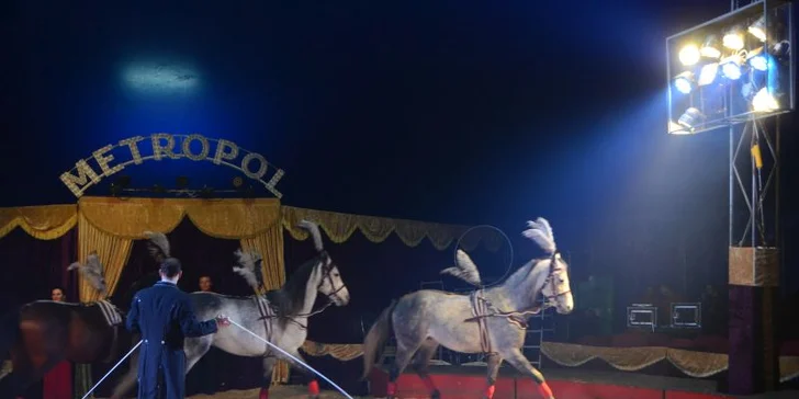 Cirkus Metropol v Olomouci: vstup do lóže na 120min. představení s artisty, klaunem i exotickými zvířaty