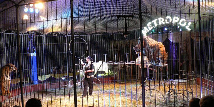 Cirkus Metropol ve Zlíně: vstup do lóže na 120min. představení s artisty, klaunem i exotickými zvířaty