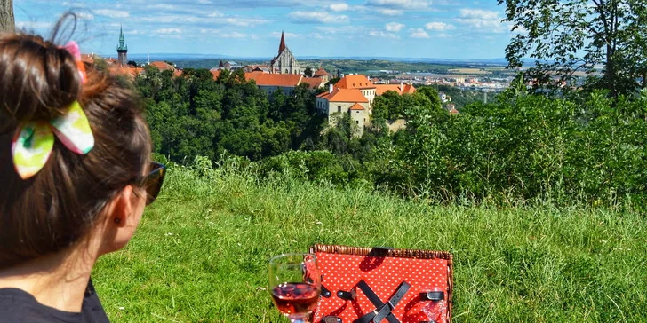 3–8hod. projížďka kabrioletem Audi A4 mezi vinicemi a piknik: víno či prosecco, slané nebo sladké dobroty
