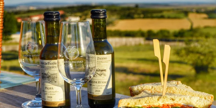 3–8hod. projížďka kabrioletem Audi A4 mezi vinicemi a piknik: víno či prosecco, slané nebo sladké dobroty