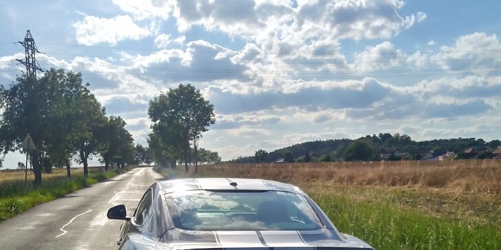 Pořádná jízda v legendárním voze Ford Mustang GT 5.0: až 25 minut jako řidič či spolujezdec