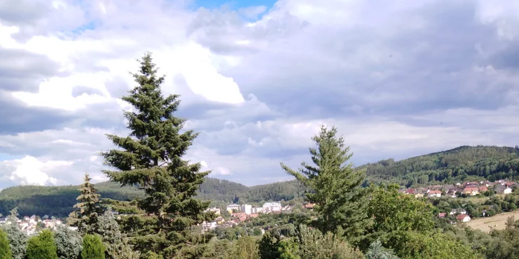 Pobyt v Karlových Varech: penzion se snídaní či polopenzí i možnost wellness