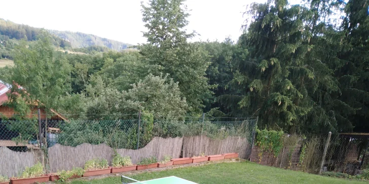 Pobyt v Karlových Varech: penzion se snídaní či polopenzí i možnost wellness
