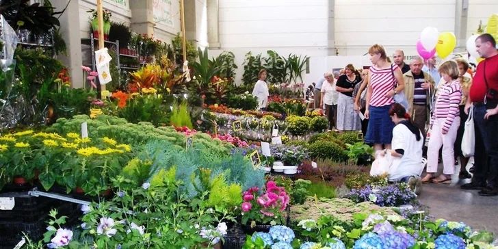Jednodenní výlet autokarem: pohádkové zahrady Dolního Rakouska a renesanční zámek Rosenburg