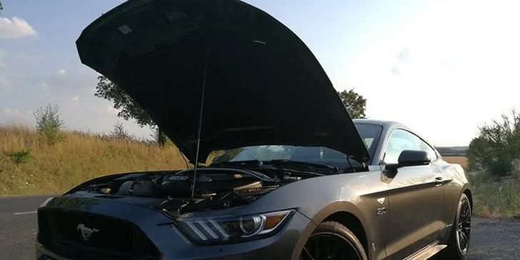 Jízda v Mustangu GT 5.0: 30 nebo 60 min. spolujízdy či řízení