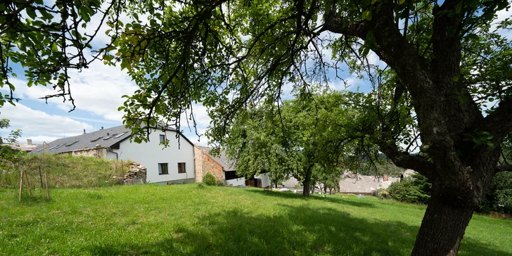 Pohoda na Šumavě pro partu i rodinu: nové a vybavené apartmány s kuchyní