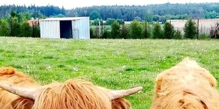 Na výlet za zvířátky: vstupné do zooparku pro dospělého, dítě i rodinu