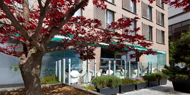 4* pobyt v blízkosti Vyšehradu: dobré jídlo a vstupenky na prohlídku Vyšehradu