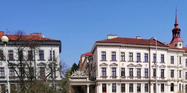 Kremrolky s různými náplněmi: na výběr mnoho příchutí