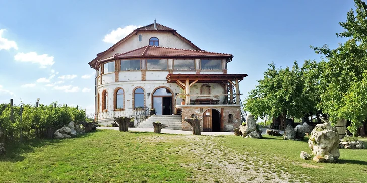 Skvělý relax na jižní Moravě až pro 6 osob: ubytování mezi vinicemi, polopenze a víno