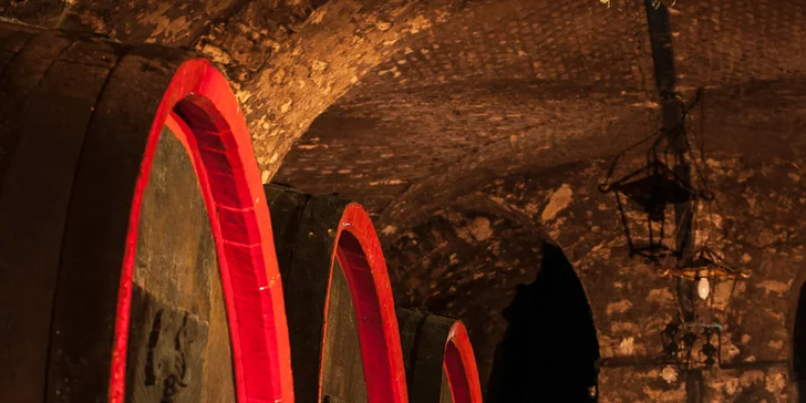 Exkurze do Lobkowiczkého zámeckého vinařství vč. degustace a dopravy