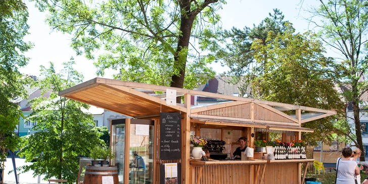 Exkurze do Lobkowiczkého zámeckého vinařství vč. degustace a dopravy