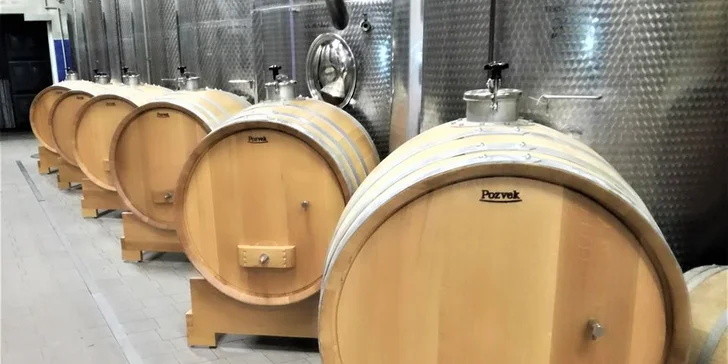 Až 15 dní ve Vinných sklepech Skalák na Slovácku: polopenze a degustace