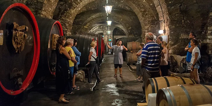 Exkurze do Lobkowiczkého zámeckého vinařství vč. degustace a dopravy