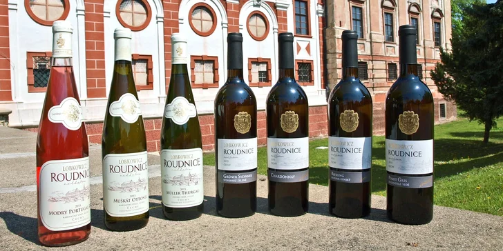 Exkurze do Lobkowiczkého zámeckého vinařství vč. degustace a dopravy
