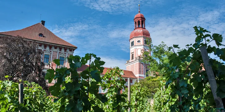 Exkurze do Lobkowiczkého zámeckého vinařství vč. degustace a dopravy