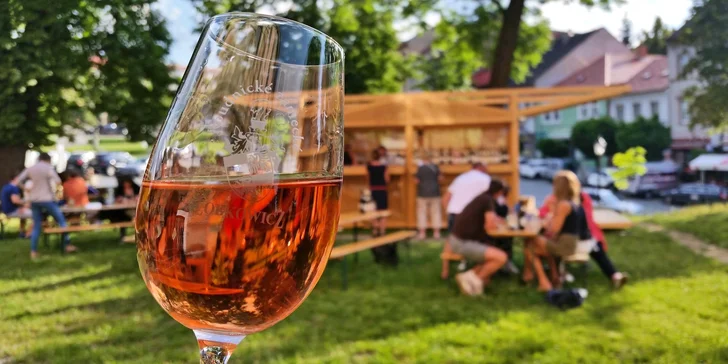 Exkurze do Lobkowiczkého zámeckého vinařství vč. degustace a dopravy