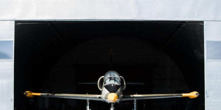 Vzhůru do oblak: zkušební výcviková lekce na L-29 Delfín nebo let v L-39 Albatros