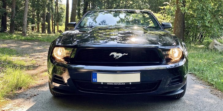 Ford Mustang Convertible: 30min. jízda i zapůjčení vozu až na 48 hodin