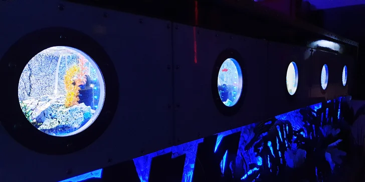 20 nebo 30 kousků sushi u Janáčkova divadla: losos, kreveta i avokádo a úhoř