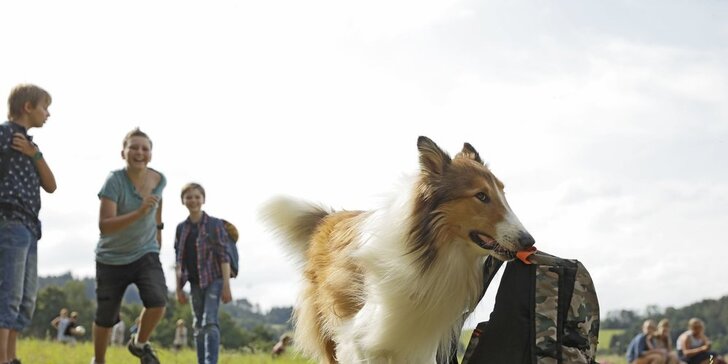 Za dobrodružstvím do kina Lucerna: dvě vstupenky na rodinné dobrodružství Lassie se vrací