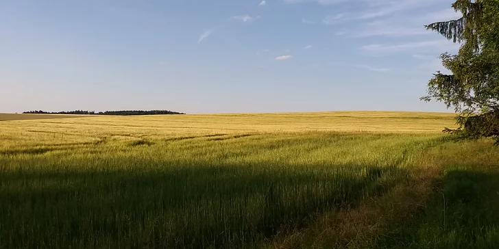 Angličtina Venku v lese: Lekce konverzace pro jednoho i pro dva