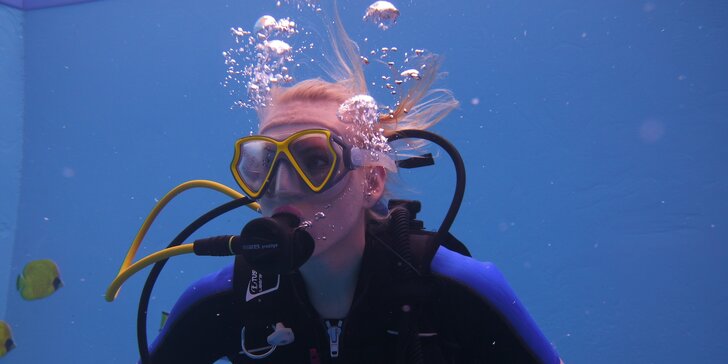 Potápění na zkoušku pro děti i dospělé: potápěčská jáma s instruktorem a foto na památku
