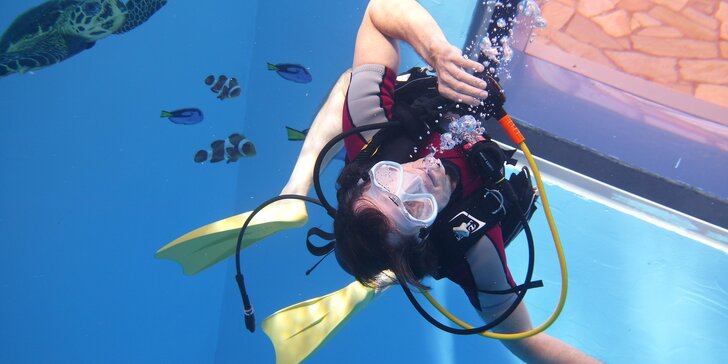 Potápění na zkoušku pro jednoho nebo pár: potápěčská jáma s instruktorem a foto na památku