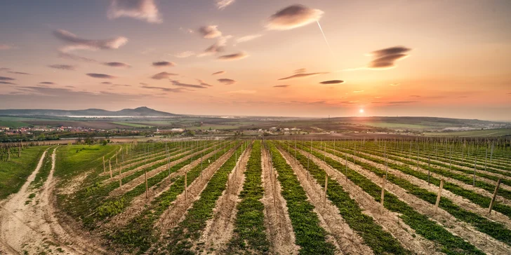 Pobyt v Zaječí vč. polopenze a degustace ve vinném sklípku