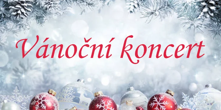 Vánoční koncert v centru Prahy: vstupenka na koncert v kostele u Salvátora