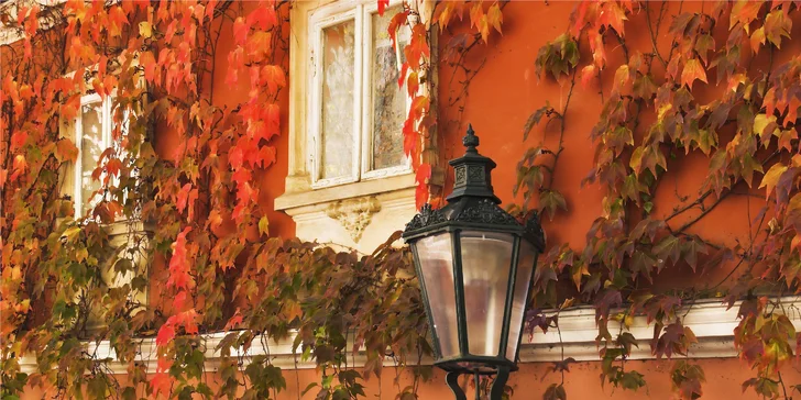 Podzimní radovánky v Praze: trendy 4* hotel s výbornou polohou a bohatou snídaní