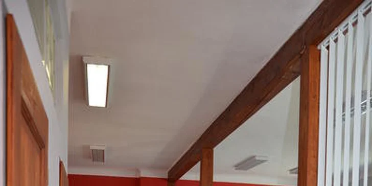 Vstupy na cvičení s Vibrostation za skvělou cenu! Cvičte jako Simona Krainová