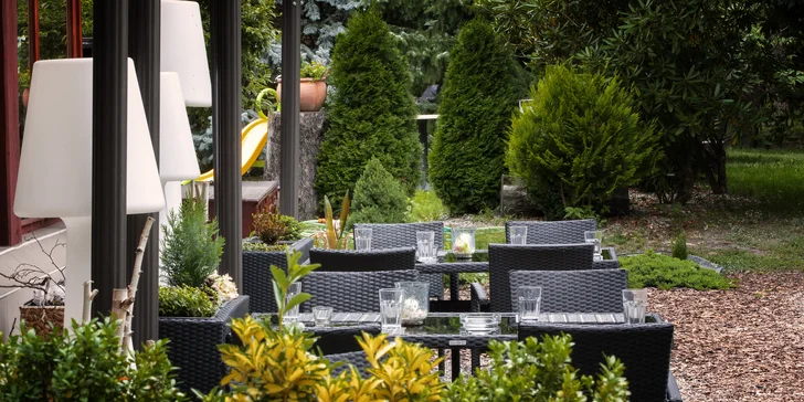 4* relax v Novém Boru: polopenze i wellness procedury