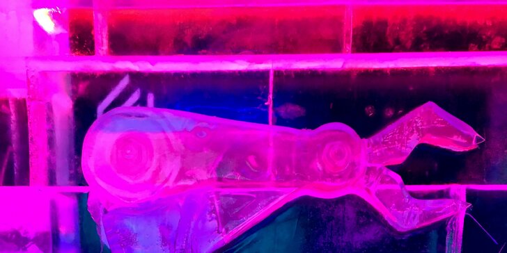 Říše mrazu: vstup a dva drinky do panáků z ledu v unikátním Ice Pub Prague