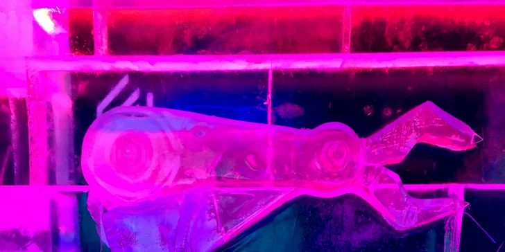 Říše mrazu: vstup a dva drinky do panáků z ledu v unikátním Ice Pub Prague