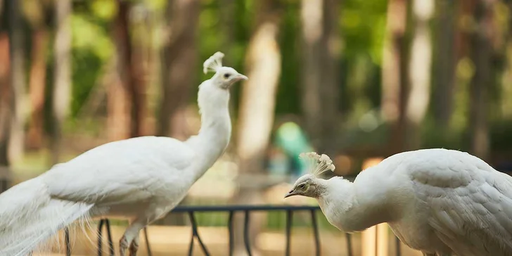 Venkovní zábavní park Krtkův svět: prolézačky, skluzavky, trampolíny i lanové centrum